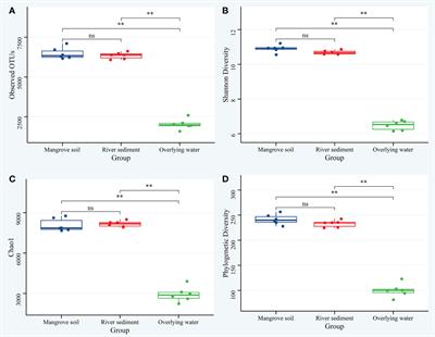 Differential patterns and assembly processes of bacterial communities from distinct microhabitats in a subtropical estuary